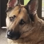 Donna Gerber - @gerber_donna - Instagram