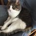 Donna Gerdes - Facebook