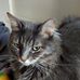 Donna Geyer - Facebook