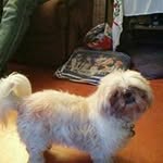 Donna Geyer - @geyerdonna - Instagram