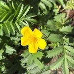 Donna Gillard - @gillarddonna - Instagram