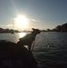 Donna Goddard - Facebook