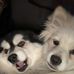 Donna Goddard - Facebook