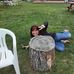 Donna Gomes - Facebook