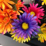 Donna Goode - @donnajgoode - Instagram