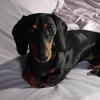 Donna Goodrich - @donna.goodrich - TikTok