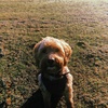 Joe and Donna - @donna.goodrich03 - TikTok