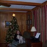 Donna Goss - @donnasgoss - Instagram