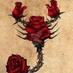 Donna Goss - @4bludragonflys - Instagram