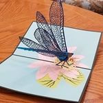 Donna Goss - @donna.goss17 - Instagram