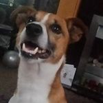 Donna Goss - @bigbumpdonsi - Instagram