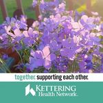 Donna Gossett - @donnagossett4 - Instagram