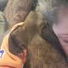 FurbabiesRule - @donnagossettvassey - TikTok