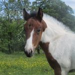 Donna Gough - @donna.gough.524 - Instagram
