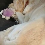 Donna Gough - @donnagough503 - Instagram