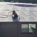 Donny H Gowing - Facebook