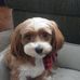 Donna Graff - Facebook