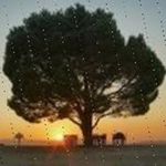 Donna Graff - @tamarliebl995 - Instagram