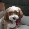 donnagraff6 - @donnagraff6 - TikTok