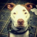 Donna Gram - @donnagram008 - Instagram