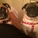 Donna Aunti D Granger - @donna.granger.165 - Instagram
