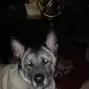 donnagrangerobins - @donnagrangerobins - TikTok
