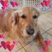 Donna Graybeal - Facebook
