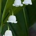 Donna J Graney - Facebook