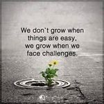 Donna Greaves - @donnagreaves22 - Instagram