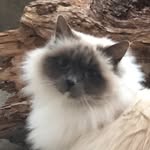 Donna Greenfield - @donnagreeny - Instagram