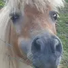 donnagreenfields - @donnagreenfields - TikTok