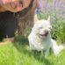 Donna Greening - Facebook