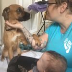 Donna Greenlee - @pawsandexhale - Instagram