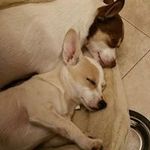 Donna Greenlee - @dmgreenlee - Instagram