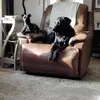 Donna Gregg - @donna.gregg4 - TikTok