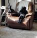 Donna Gregg - Facebook