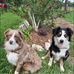 Donna Gresham Coneley - Facebook