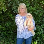 Donna Phillips Gresham - @donnagresham - Instagram