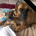 Donna Parker Grimm - Facebook