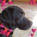 Donna Griswold - Facebook