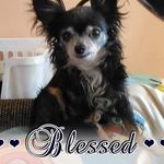 Donna Groves - @donnagroves341 - Instagram