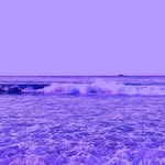 Donna Guillory - @donna.guillory.319 - Instagram