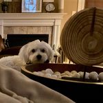 Donna Griffin Gulledge - @donna_gulledge - Instagram