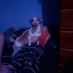 Donna Guyton - @donna.guyton.315 - Instagram