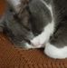 Donna Hackney - Facebook
