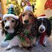 Donna Hackworth - Facebook