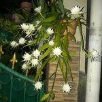Dona Rochman Hakim - @dona.hakim - Instagram