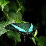 Donna Haley - @donnahaleygiu21820 - Instagram