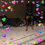 Donna Halliday - @donna.halliday.90857 - Instagram