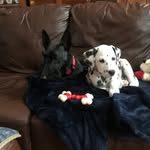 Donna Hallowell - @djhalls60 - Instagram